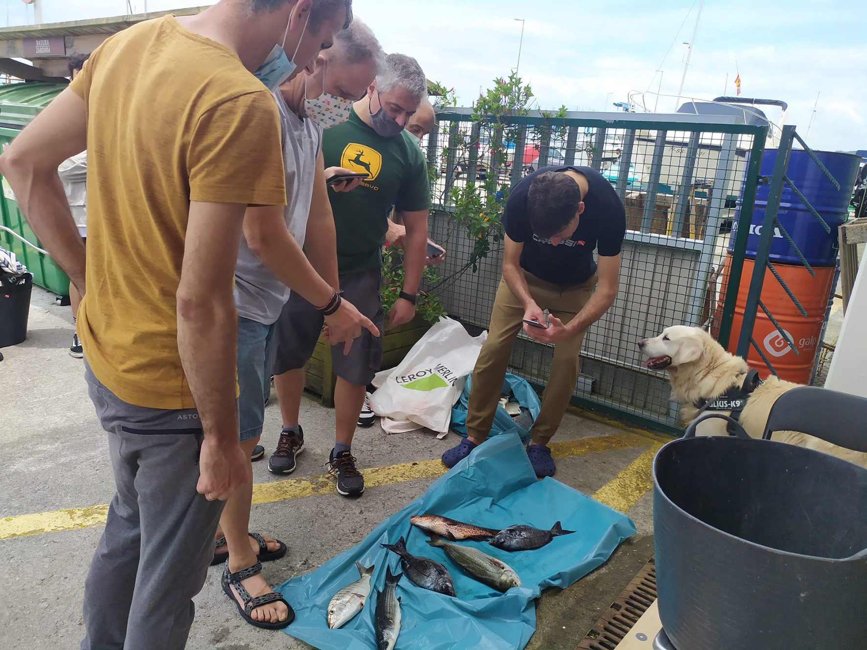 Campeonato Navarro Individual Pesca Submarina